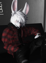MrRahhbbit