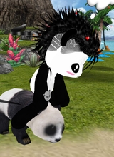OlliOlli1