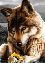 Guest_Abbygaelle1