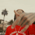 Guest_moneycam