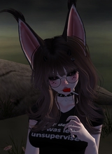 Tygara