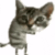 Guest_luanmotives1