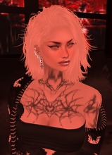 Guest_Alex212602