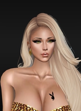 Guest_Susy88751