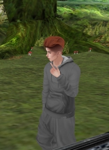 Guest_LionChevalier