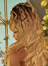 Butterflywings1