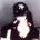 Guest_lola766496