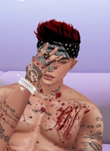 Guest_Dawca
