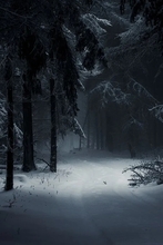 Guest_LilNovamber