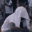 Guest_JayGwp