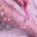 Guest_XYTO3