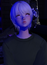 Guest_JudeWanderingBard