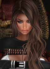 Guest_ametabeta77