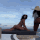 Guest_Nucchiblocks111