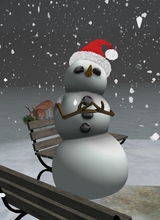 Guest_card444