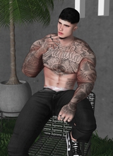 Guest_Dario664692