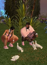 Guest_MiguelSantiago6
