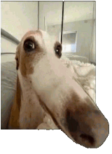 Guest_krylic