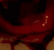 fang584887
