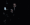 Guest_A5725001