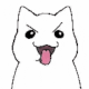 Guest_REX259557