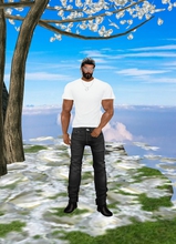 avpic