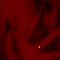 Guest_NOVAAACANEEEE