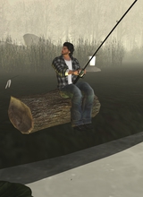 MrFreddy53