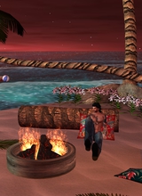 MrFreddy53