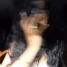 Guest_oraIher