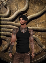 StyllleSky