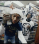 Guest_marahhoe