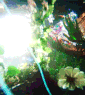 Guest_T897948