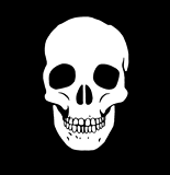 Guest_Lucas818453