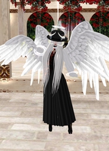 Guest_YANASKY