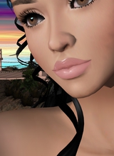 Guest_FOTIAA46