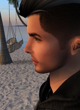 Guest_isgl3