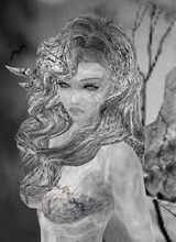 ViviWonderstorm