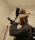 Guest_D1Chasinn