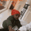 Guest_unknownforuu