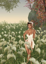 Guest_LaVanDa15