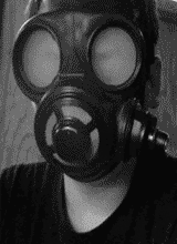 MZSHADOW
