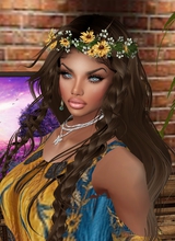 GypsySteel