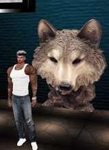 WhiteWolfs