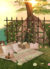 Guest_Melissa147263