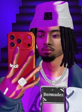 Bermudez