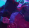 Guest_5knizzyvibes