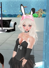 Guest_Daisy19691a