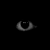 Guest_Demarion995072