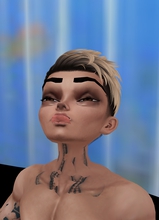 Guest_alfaduro